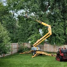 Best Lawn Renovation and Restoration  in Lowell, OR