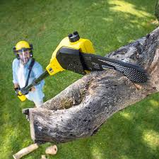 Best Stump Grinding and Removal  in Lowell, OR