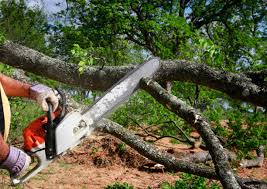 Best Firewood Processing and Delivery  in Lowell, OR